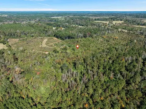 00 Lindsey, Mount Olive, MS 39119 photo 15