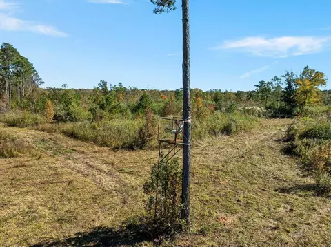 00 Lindsey, Mount Olive, MS 39119 photo 6