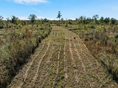 00 Lindsey, Mount Olive, MS 39119 photo 7