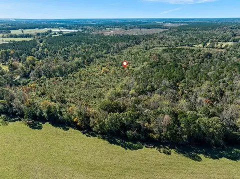 00 Lindsey, Mount Olive, MS 39119 photo 19