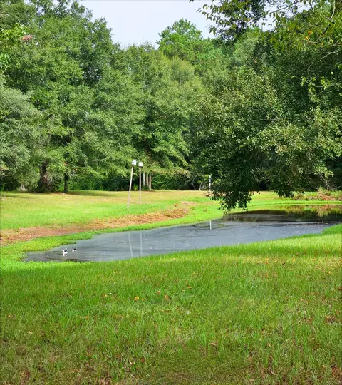 Other - 4438 N Hwy 49, Mount Olive, MS 39119 photo 1 of 10