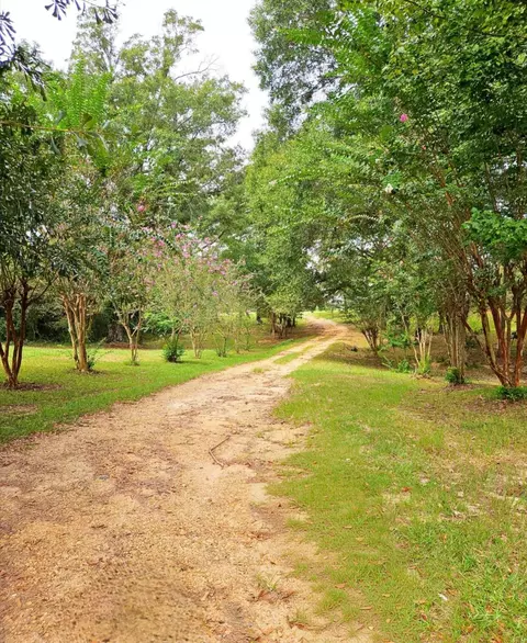 Other - 4438 N Hwy 49, Mount Olive, MS 39119 photo 2 of 10