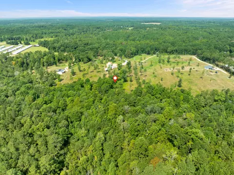 67 Moonshadow Ln, Sumrall, MS 39482 photo 22