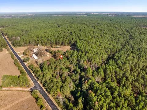 0 Beach Rd, Purvis, MS 39475 photo 8