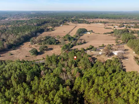0 Beach Rd, Purvis, MS 39475 photo 11