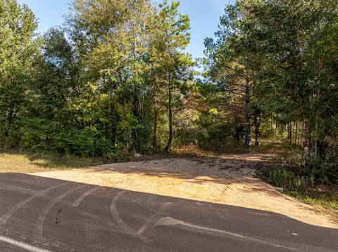 0 Beach Rd, Purvis, MS 39475 photo 2