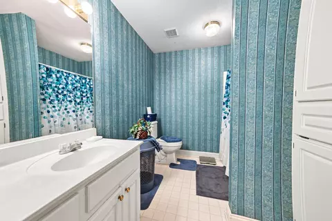Bath - 53 S Windridge Loop, Purvis, MS 39475 photo 4 of 4