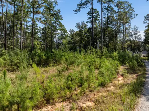Exterior - 20 24 Placid Dr, Sumrall, MS 39482 photo 14 of 17