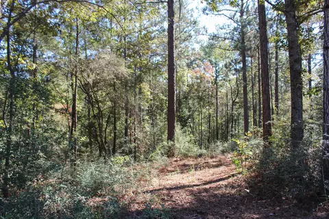 000 Marshal Pl, Petal, MS 39465 photo 3