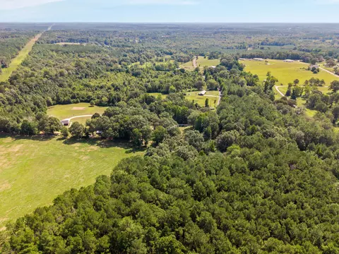 186 Chapman, Sumrall, MS 39482 photo 8