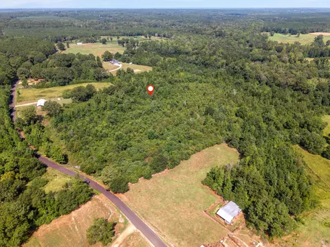 186 Chapman, Sumrall, MS 39482 photo 10