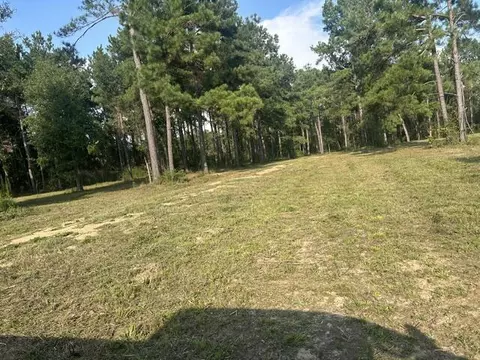 00 New Hope Rd, Sandy Hook, MS 39478 photo 3