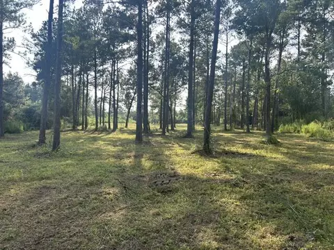 00 New Hope Rd, Sandy Hook, MS 39478 photo 2