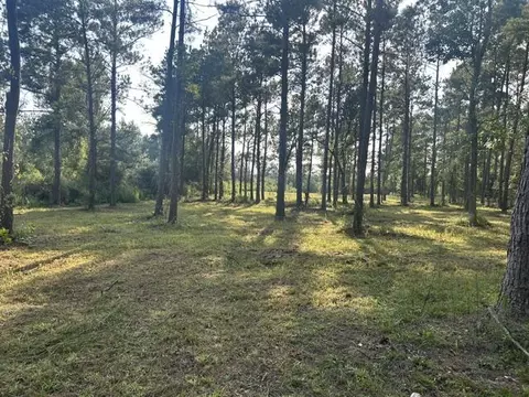 00 New Hope Rd, Sandy Hook, MS 39478 photo 4