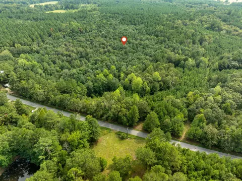 000 Davis Rd, Purvis, MS 39475 photo 18