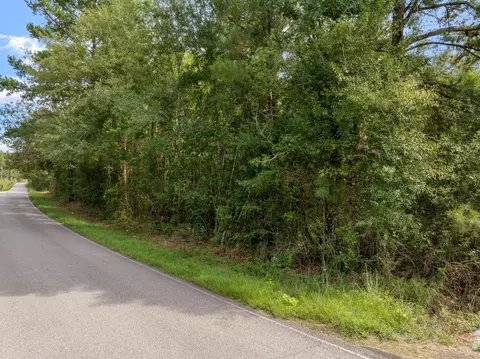 000 Davis Rd, Purvis, MS 39475 photo 11