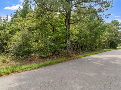 000 Davis Rd, Purvis, MS 39475 photo 10