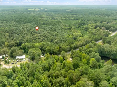 000 Davis Rd, Purvis, MS 39475 photo 21