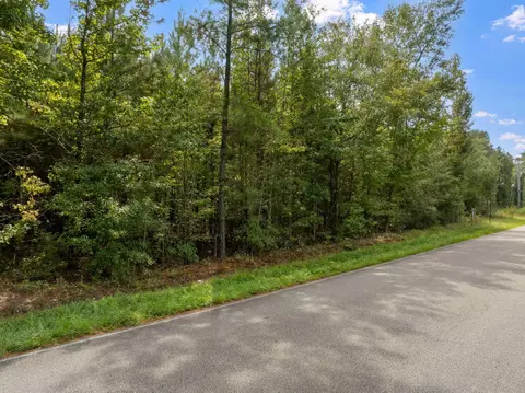 000 Davis Rd, Purvis, MS 39475 photo 3