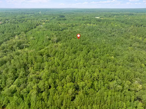 000 Davis Rd, Purvis, MS 39475 photo 14