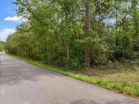 000 Davis Rd, Purvis, MS 39475 photo 16