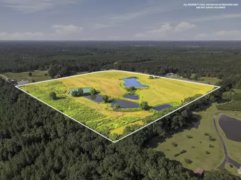 205 Clay Hill Rd, Richton, MS 39476 photo 14