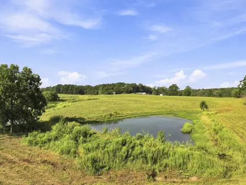 205 Clay Hill Rd, Richton, MS 39476 photo 5