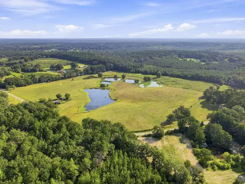 205 Clay Hill Rd, Richton, MS 39476 photo 9