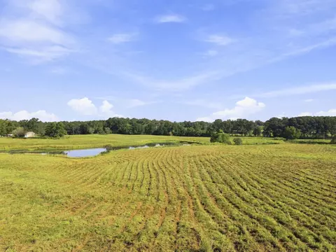 205 Clay Hill Rd, Richton, MS 39476 photo 2
