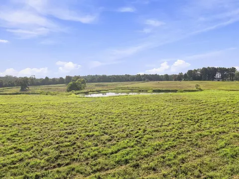 205 Clay Hill Rd, Richton, MS 39476 photo 7