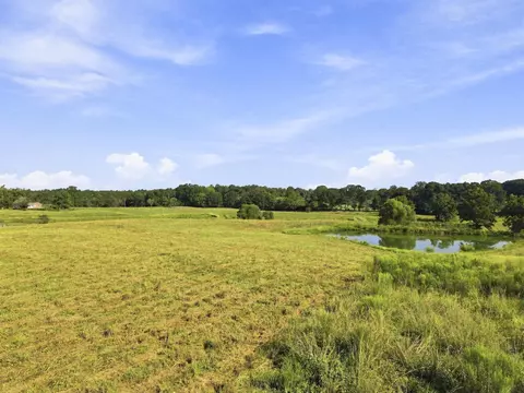 205 Clay Hill Rd, Richton, MS 39476 photo 3