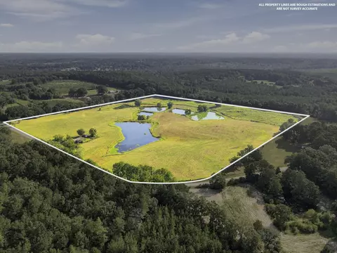 205 Clay Hill Rd, Richton, MS 39476 photo 10