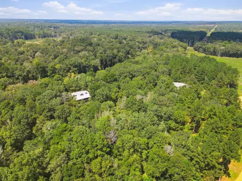 View/Area - 22 Tranquility Ln, Moselle, MS 39459 photo 4 of 6