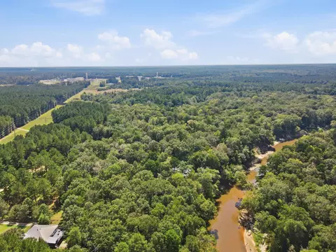 View/Area - 22 Tranquility Ln, Moselle, MS 39459 photo 6 of 6