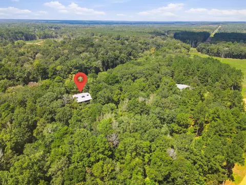 View/Area - 22 Tranquility Ln, Moselle, MS 39459 photo 3 of 6