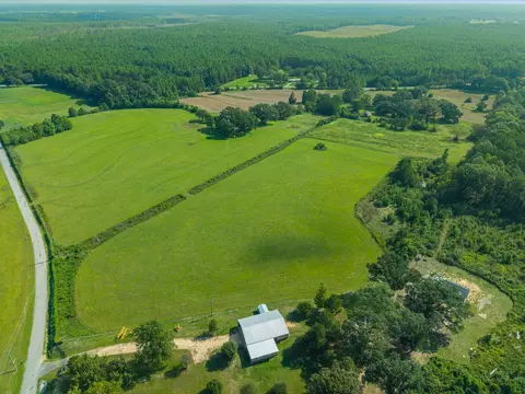 00 Sones, Purvis, MS 39475 photo 6