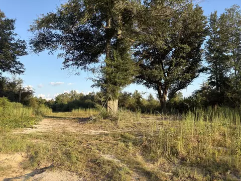 000 Sawmill, Sandy Hook, MS 39478 photo 3