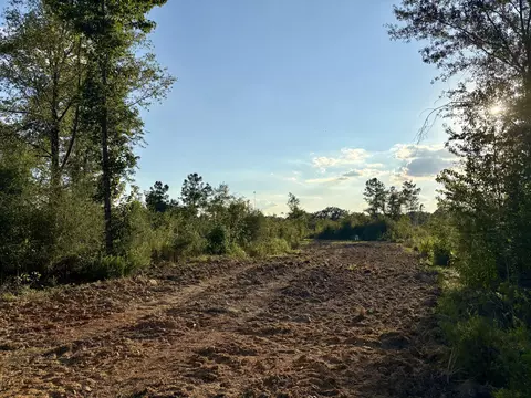 000 Sawmill, Sandy Hook, MS 39478 photo 6