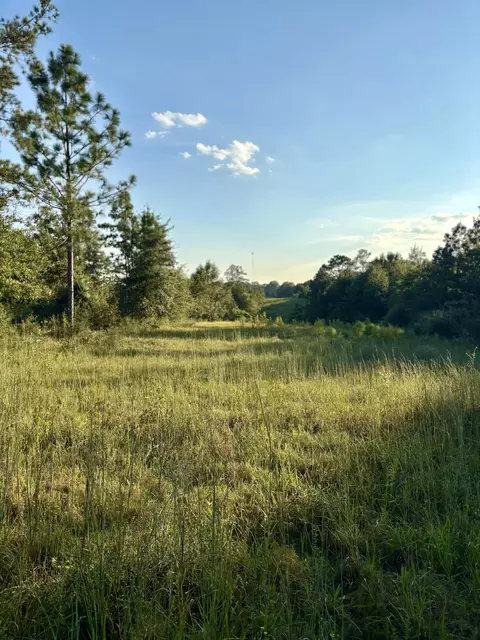 000 Sawmill, Sandy Hook, MS 39478 photo 5