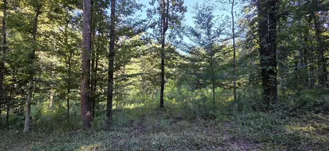 5 Pheasant Rdg, Petal, MS 39465