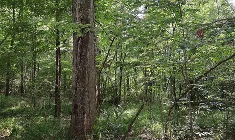 5 Pheasant Rdg, Petal, MS 39465 photo 3