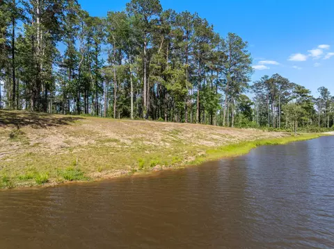 4 05 Acres Placid Dr, Sumrall, MS 39482 photo 4