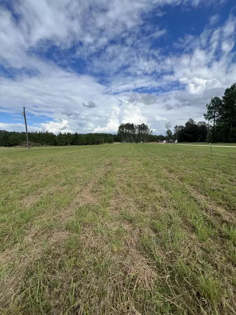 18 Blackbird Ln, Petal, MS 39465