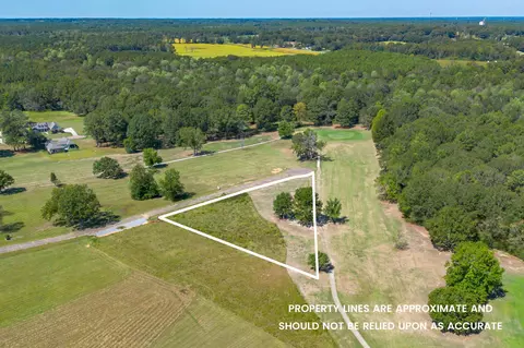 0 Club Dr, Collins, MS 39428 photo 6