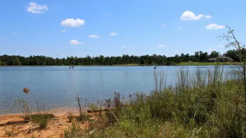 7 Frontier Bend, Sumrall, MS 39482 photo 27
