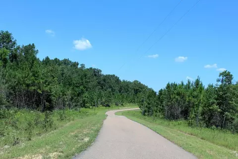7 Frontier Bend, Sumrall, MS 39482 photo 23