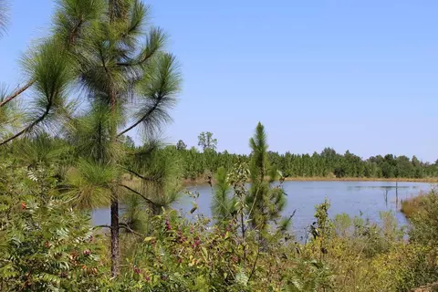 7 Frontier Bend, Sumrall, MS 39482 photo 18