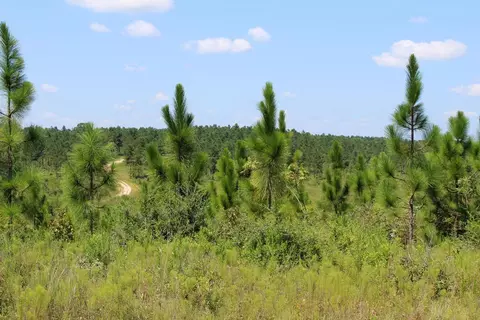 7 Frontier Bend, Sumrall, MS 39482 photo 25