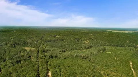 7 Frontier Bend, Sumrall, MS 39482 photo 13