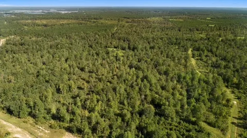 7 Frontier Bend, Sumrall, MS 39482 photo 12